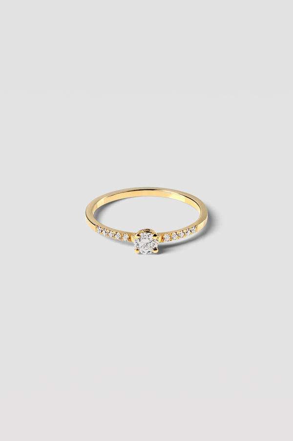 2 . 1 LVK Ring 02 18K Geelgoud